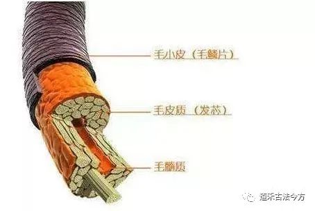 一撮白發(fā)，顯老5歲，道禾養(yǎng)發(fā)館解讀頭發(fā)變白的真相！